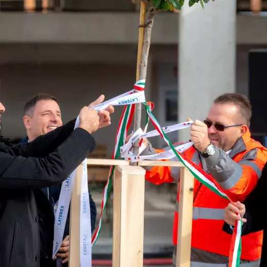 Ezüstfa díszíti a Dunakeszi Diáknegyed legmagasabb pontját