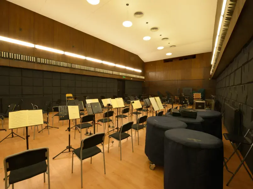 Danubia Orchestra Concert Hall and Rehearsal Room