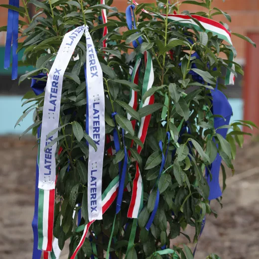 Bokrétaünnepség Vácott